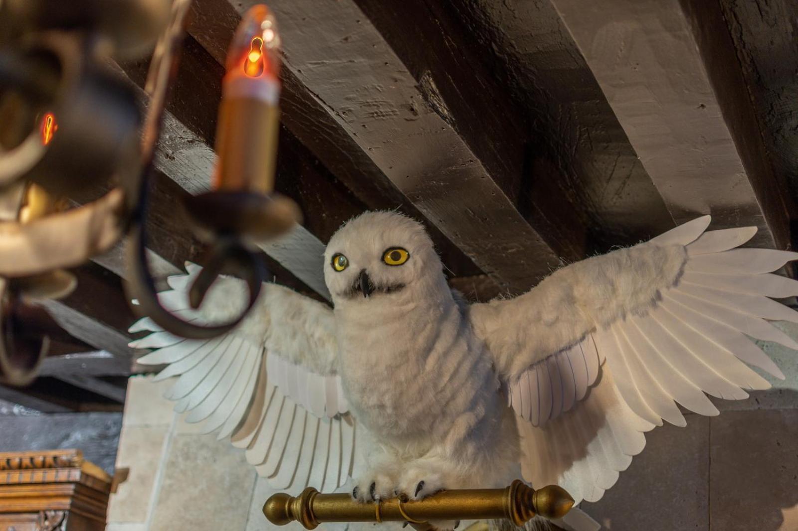 Sorcier Magique & Experience Immersive Caen Exterior foto